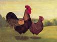 unknow artist Cock and Hen Norge oil painting art